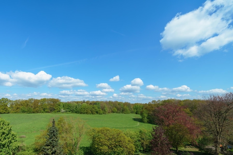 Großzügige 4,5-Zimmer-Eigentumswohung in Hagen-Boloh mit Ausblick - Aussicht Küche/Essbereich